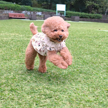 画像をギャラリービューアに読み込む, ちいさなぬいぐるみドッグウェア