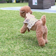 画像をギャラリービューアに読み込む, ちいさなぬいぐるみドッグウェア