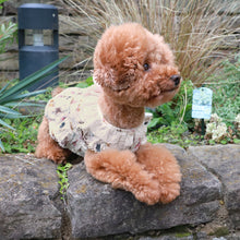 画像をギャラリービューアに読み込む, ちいさなぬいぐるみドッグウェア