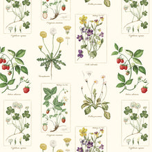 画像をギャラリービューアに読み込む, 植物図鑑ボウタイ長袖ワンピース