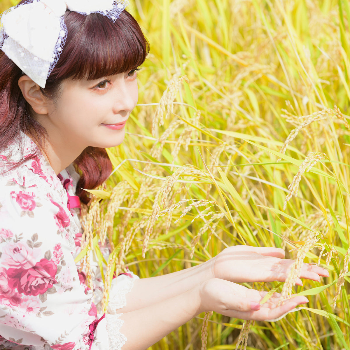 Lolita My あきたこまち