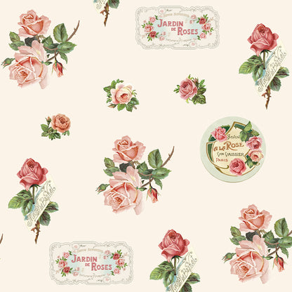 Precious Rose frill collar dress