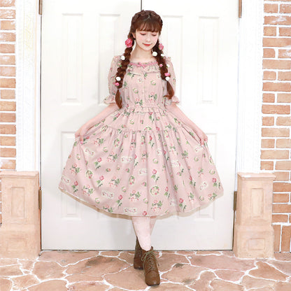 Precious Rose frill collar dress