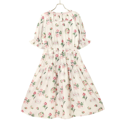 Precious Rose frill collar dress