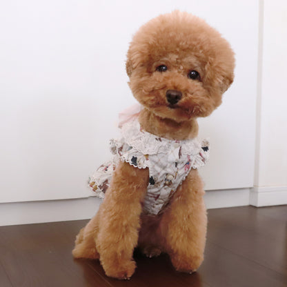 ちいさなぬいぐるみドッグウェア