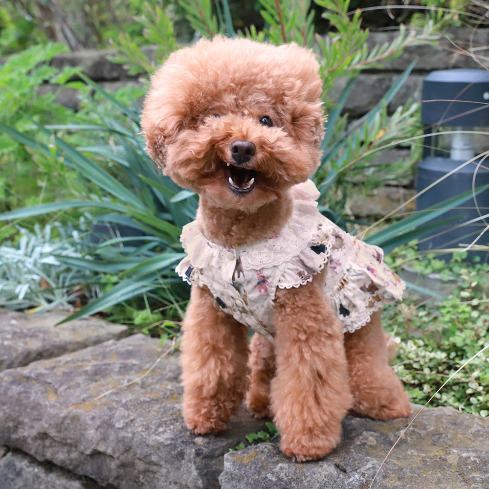 ちいさなぬいぐるみドッグウェア