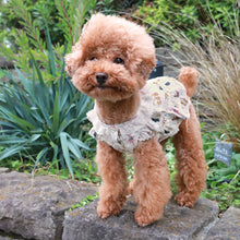 将图片加载到图库查看器，Little stuffed animals dog wear

