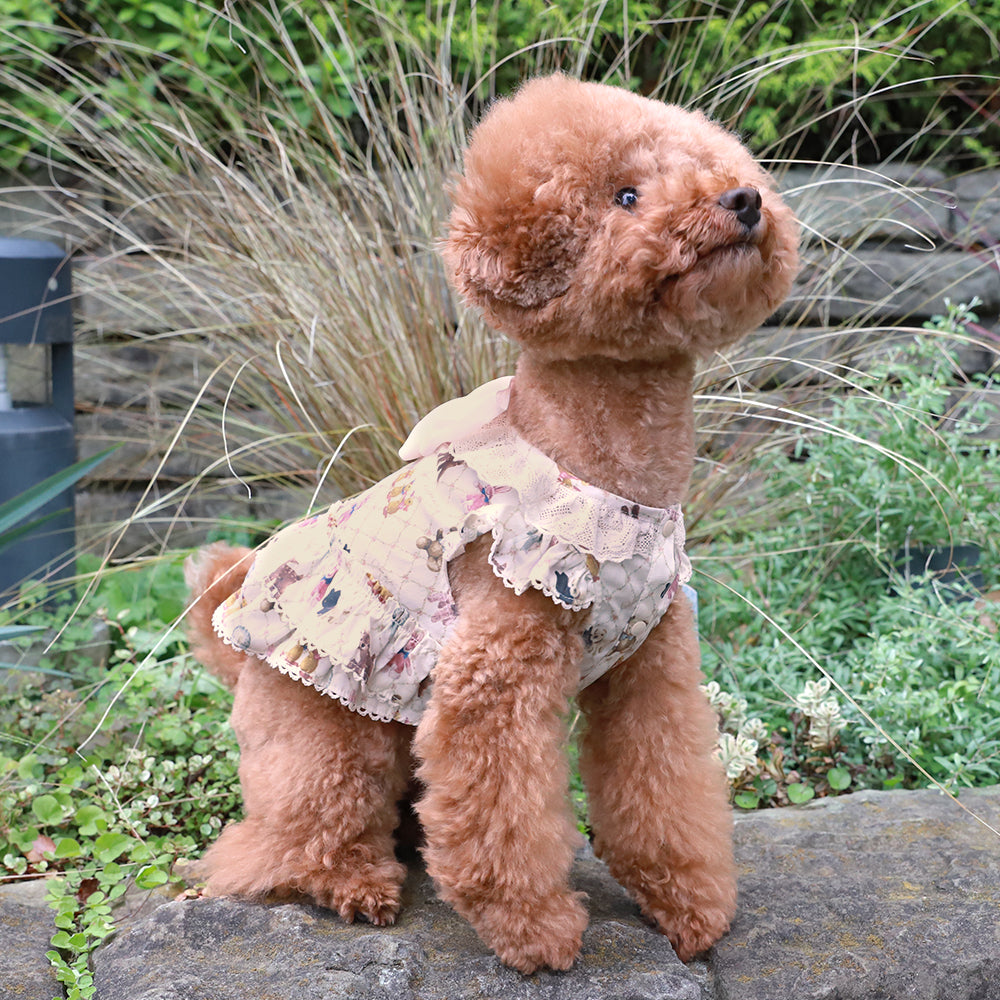 ちいさなぬいぐるみドッグウェア