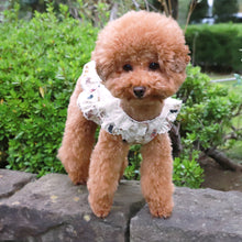 Load image into Gallery viewer, Little stuffed animals dog wear
