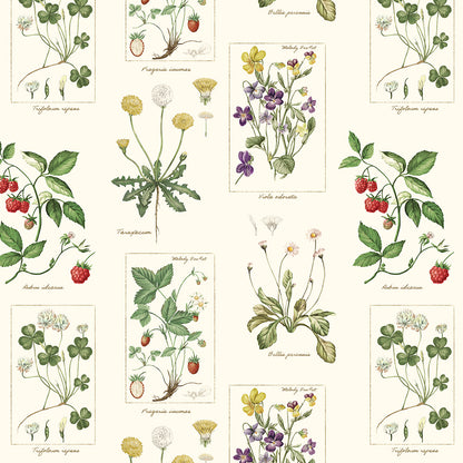 植物図鑑スカート