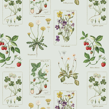 植物図鑑スカート