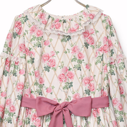 Rose garden frill collar dress