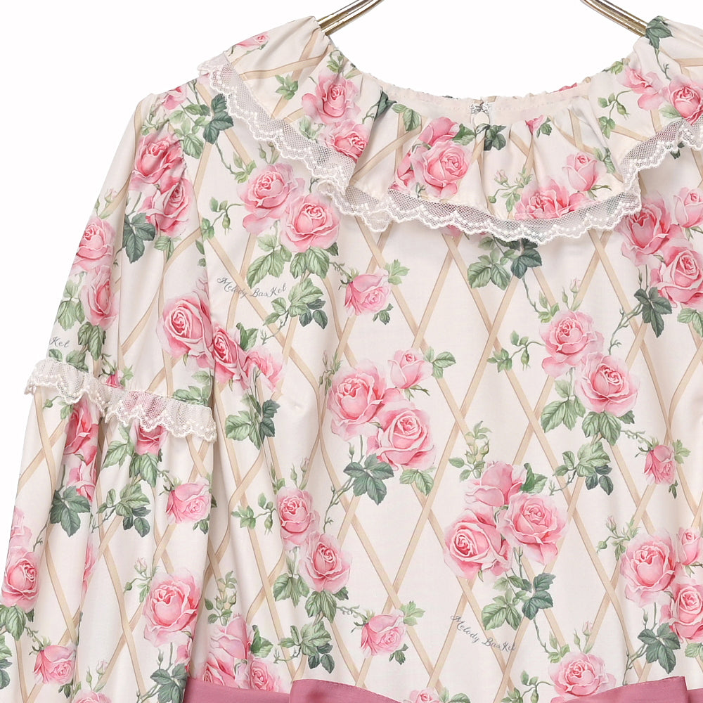 Rose garden frill collar dress