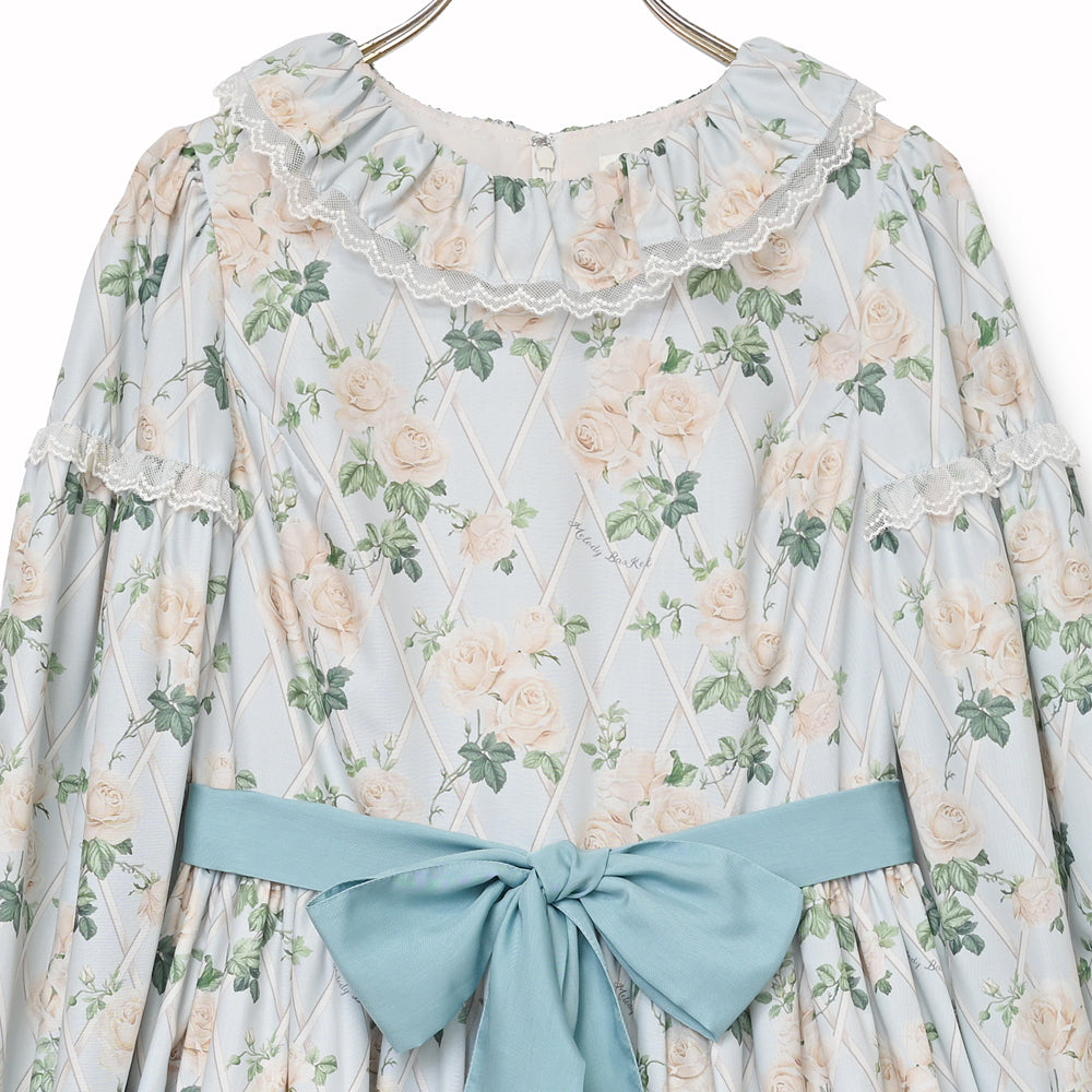 Rose garden frill collar dress