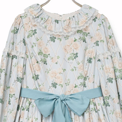 Rose garden frill collar dress