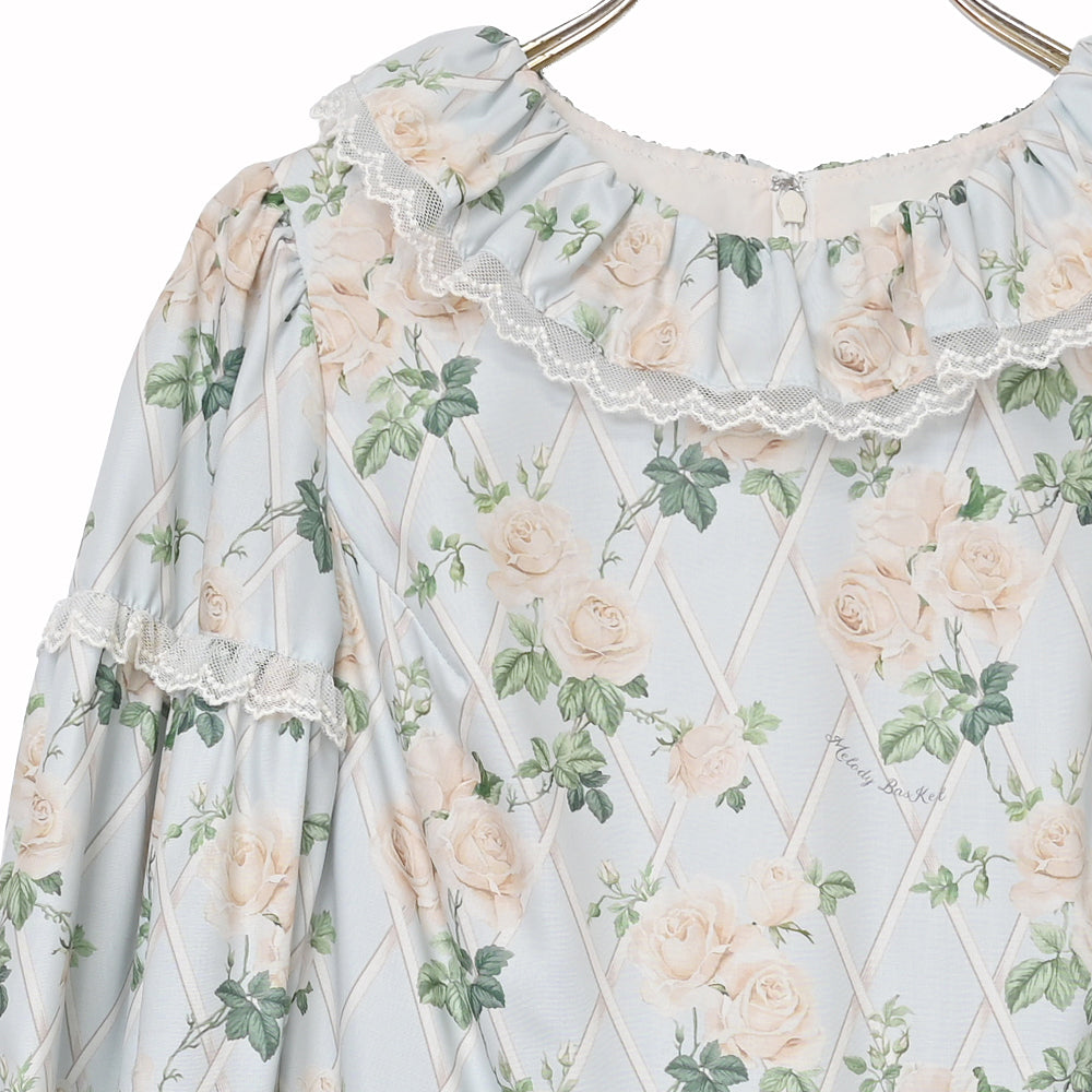 Rose garden frill collar dress