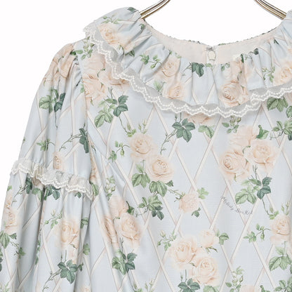 Rose garden frill collar dress