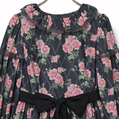 Rose garden frill collar dress