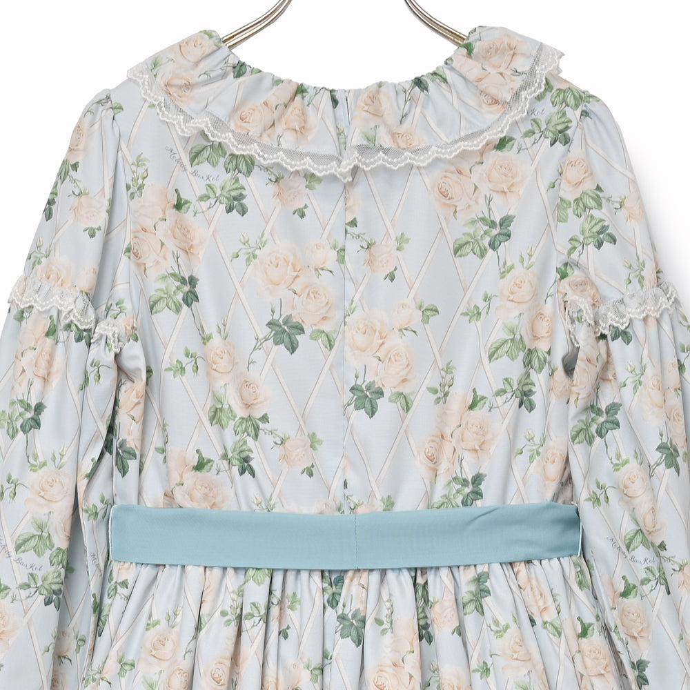 Rose garden frill collar dress