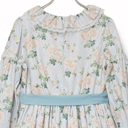 Rose garden frill collar dress