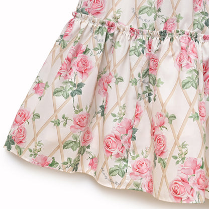 Rose garden frill collar dress