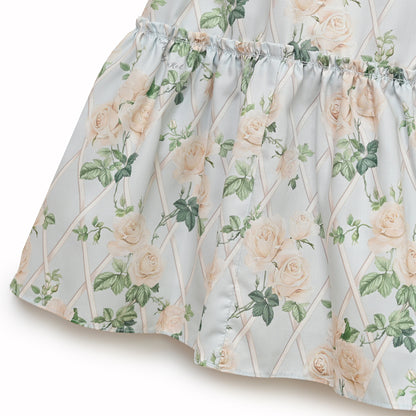 Rose garden frill collar dress