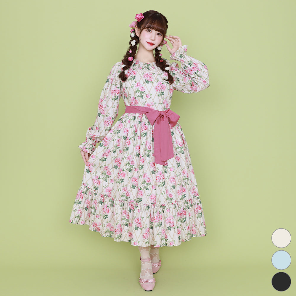 Rose garden frill collar dress