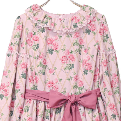 Rose gardenフリルカラーワンピース