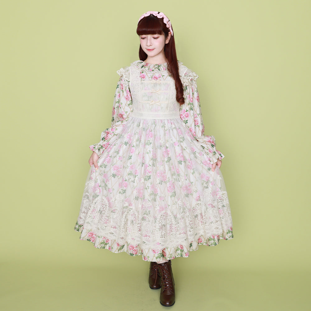 Rose garden frill collar dress