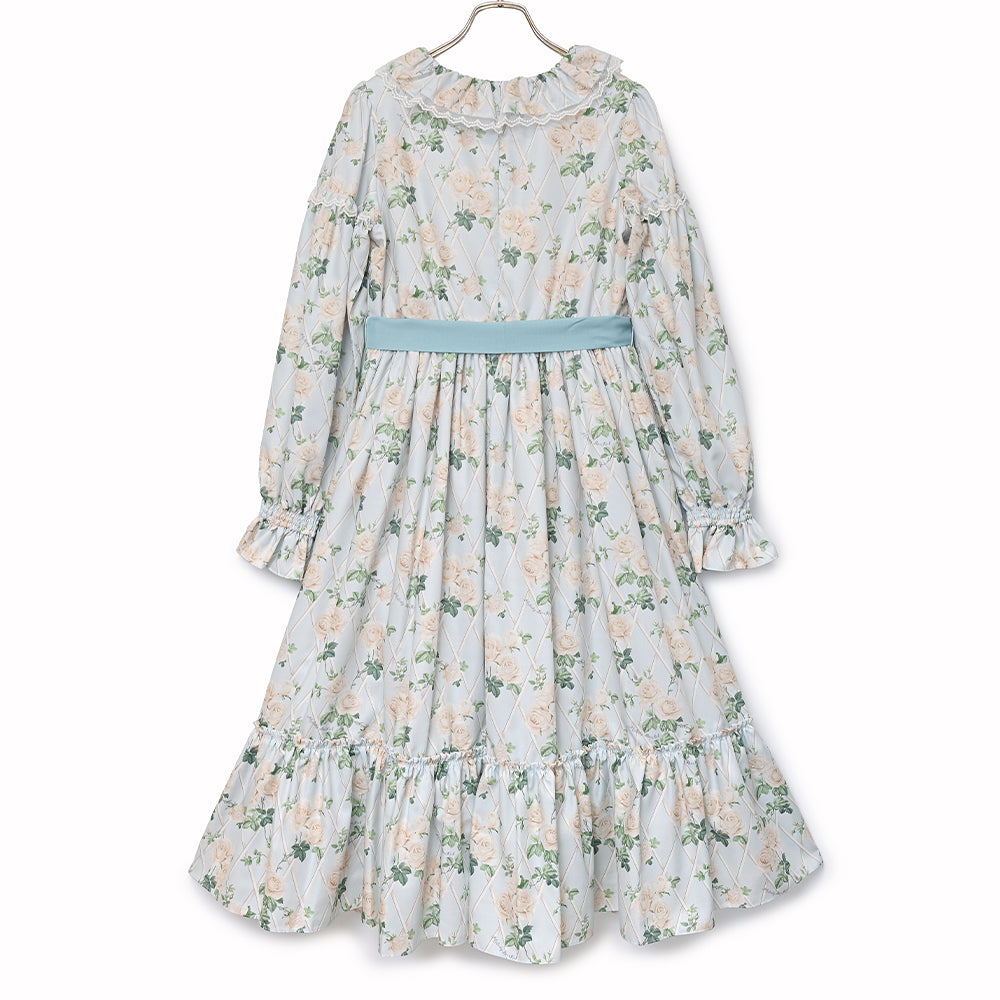 Rose garden frill collar dress