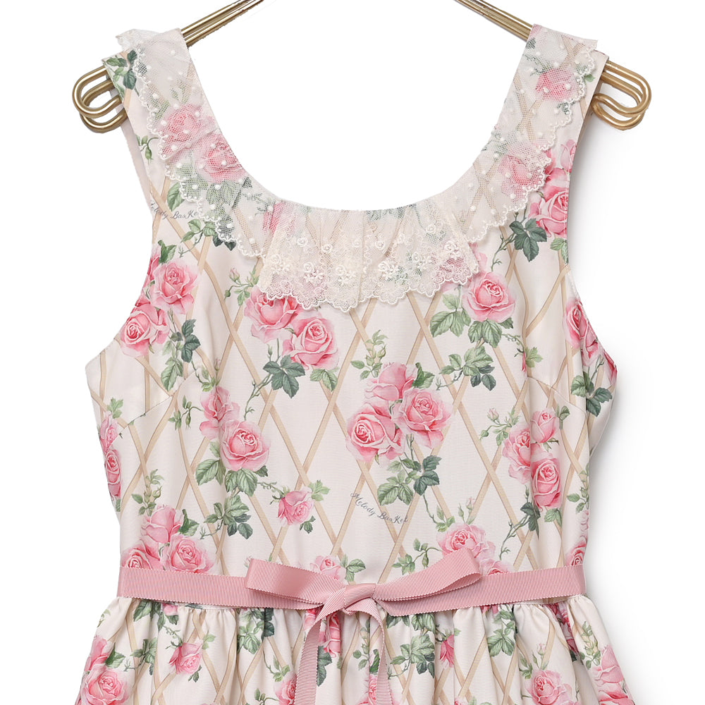 Rose garden jumper dress