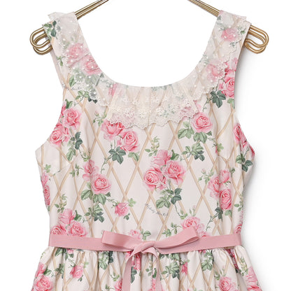 Rose garden jumper dress