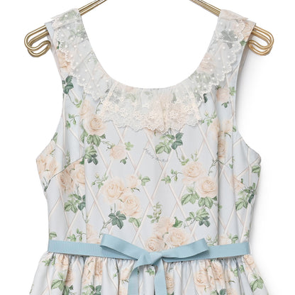 Rose garden jumper dress