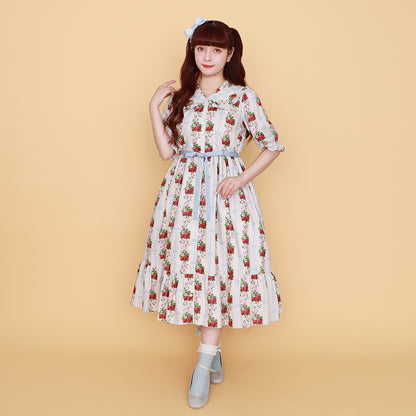 Strawberry Rose front button dress