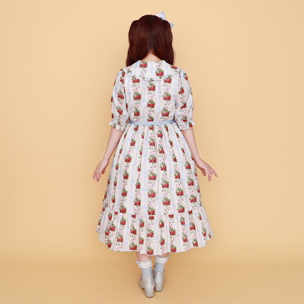 Strawberry Rose front button dress