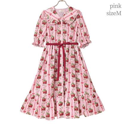 Strawberry Rose front button dress