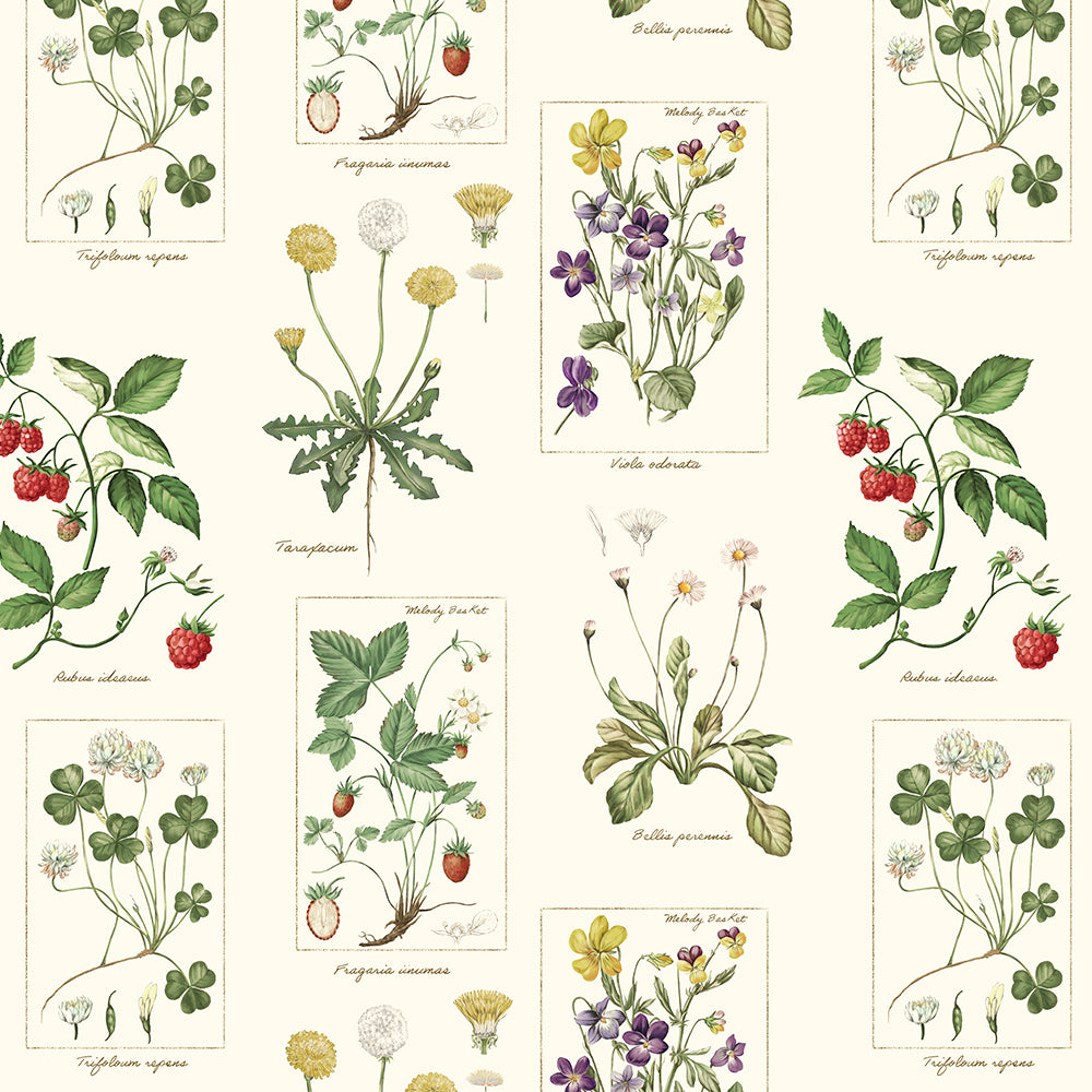 植物図鑑ボウタイ長袖ワンピース