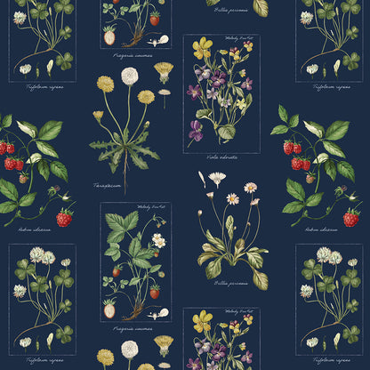 植物図鑑ボウタイ長袖ワンピース