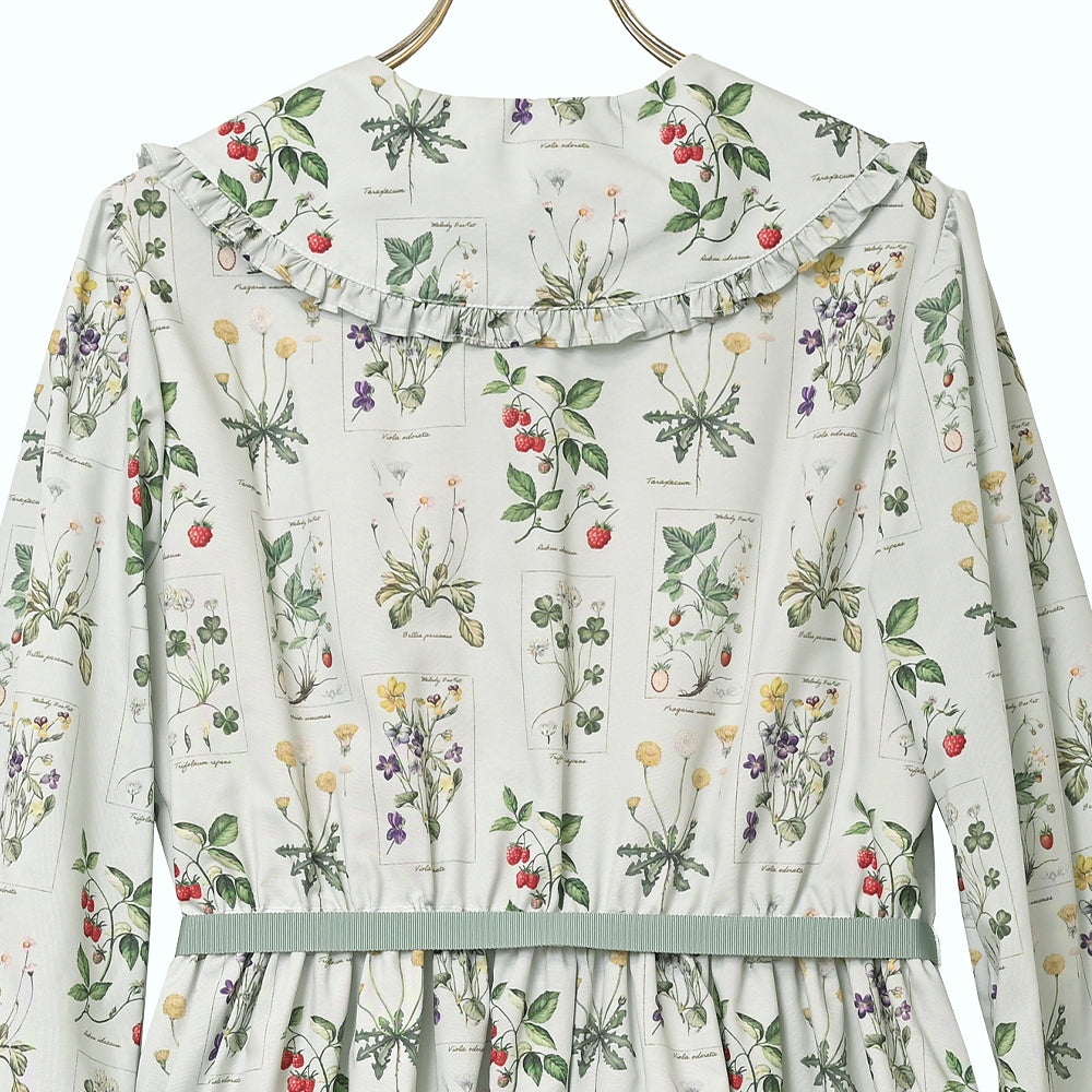 植物図鑑フロントボタン長袖ワンピース