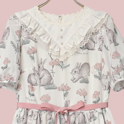 Botanical Rabbit dress