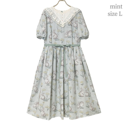 Botanical Rabbit dress