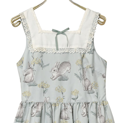 Botanical Rabbit jumper dress