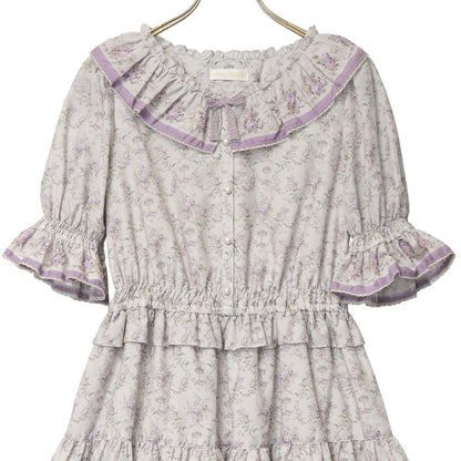 Purple rose dress