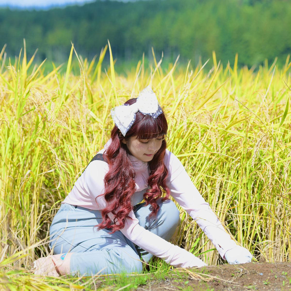 Lolita My あきたこまち