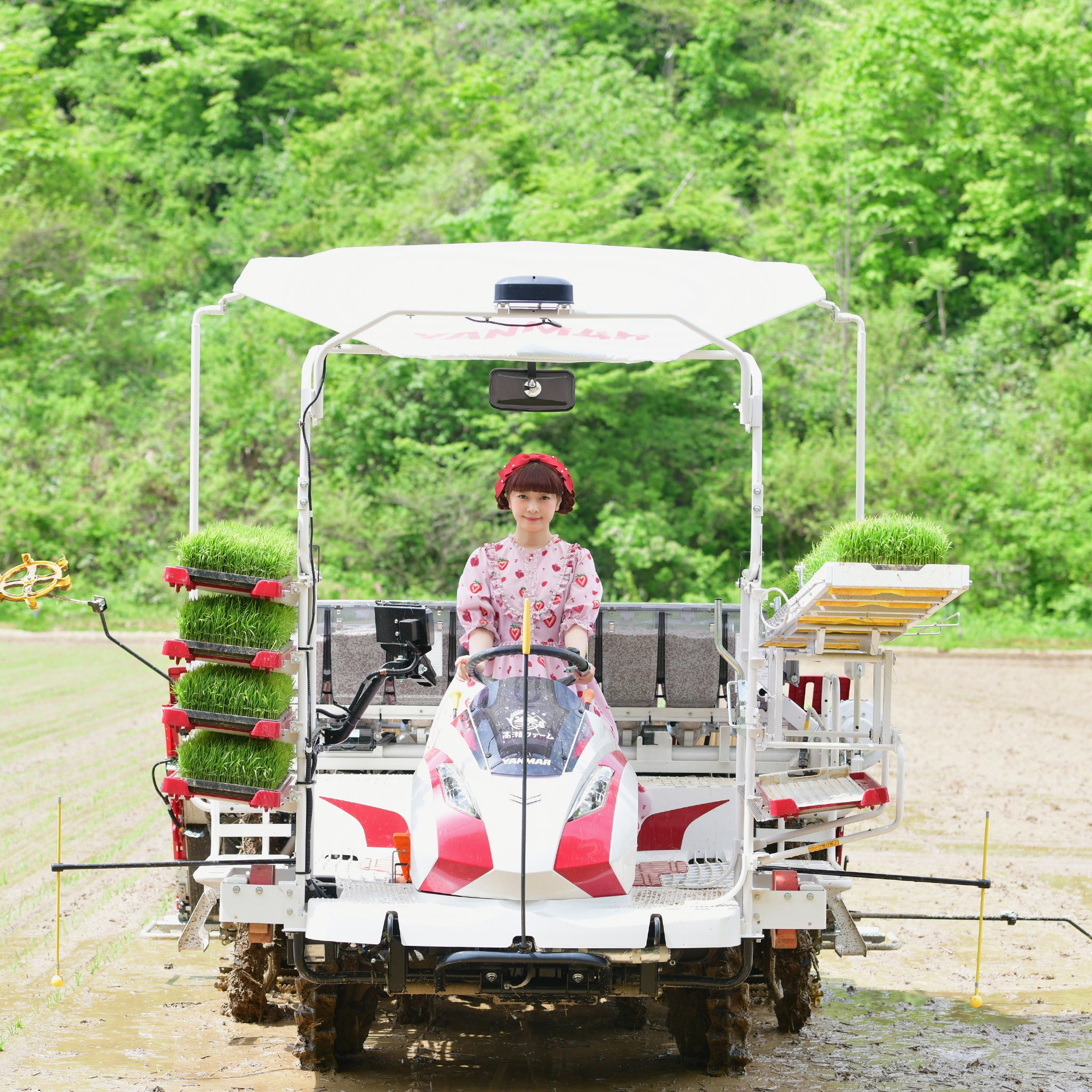 果実ハートワンピース-アトリエ小町 – fraisier on-line