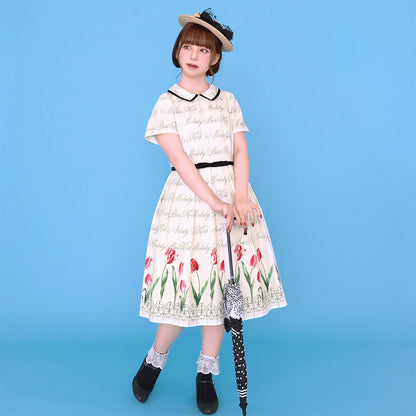 菫の花束キャノチエ